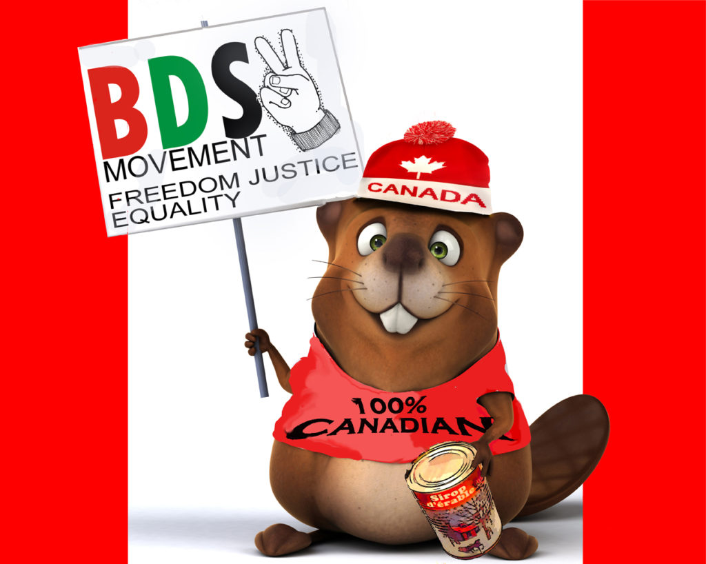BDS Beaver web
